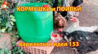 Кормушки и поилки для кур своими руками (153) 🪚✂️ Пошаговая инструкция как сделать 🐔 🐓❣️