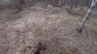Приехали за рельсами с лодкой, но она не понадобилась.