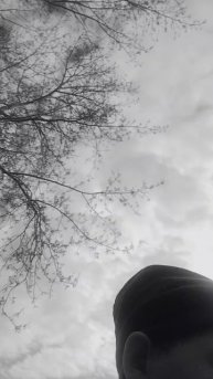 VID20250502163345.mp4