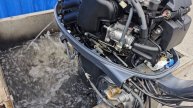 Yamaha F40 (1026761)