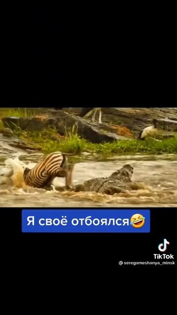 Я свое отбоялся🤣 #shorts