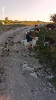 Верхом на козе )