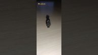 Lethal company и Content warning Часть 1