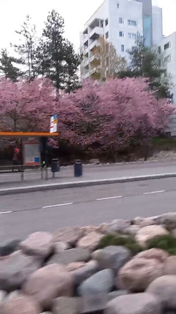 VID_20250502_071046_903.mp4