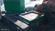 Первая весенняя работа с пчёлами..