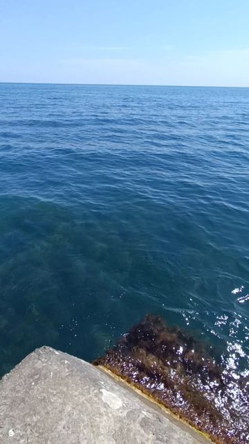 02.05.2025 Крым. Алушта