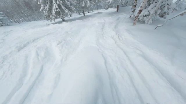 День Пуха в Губахе – 5.12.2023