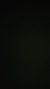 1000062562.mp4