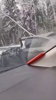 ‼️Крупное ДТП на Дмитровском шоссе‼️