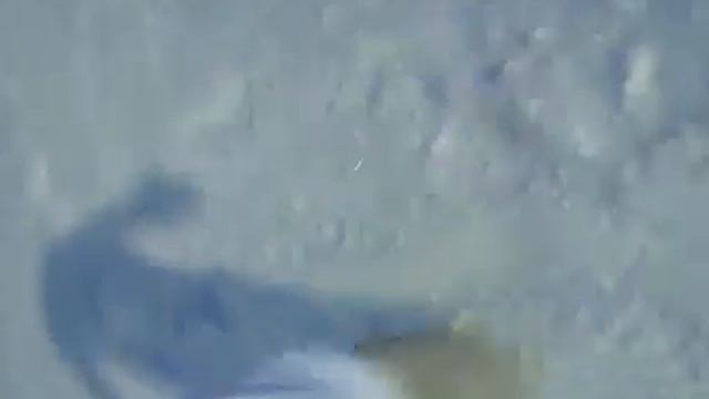 Олег прыжок на сноуборде