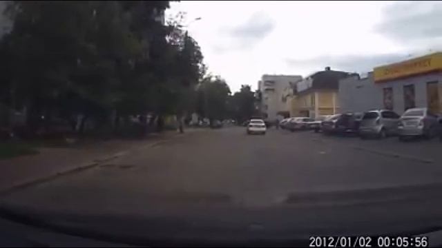 Черниговцы возмущаются поступком водителя внедорожника, который раздавил маленького щенка