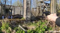 Бульдог курс револьвер