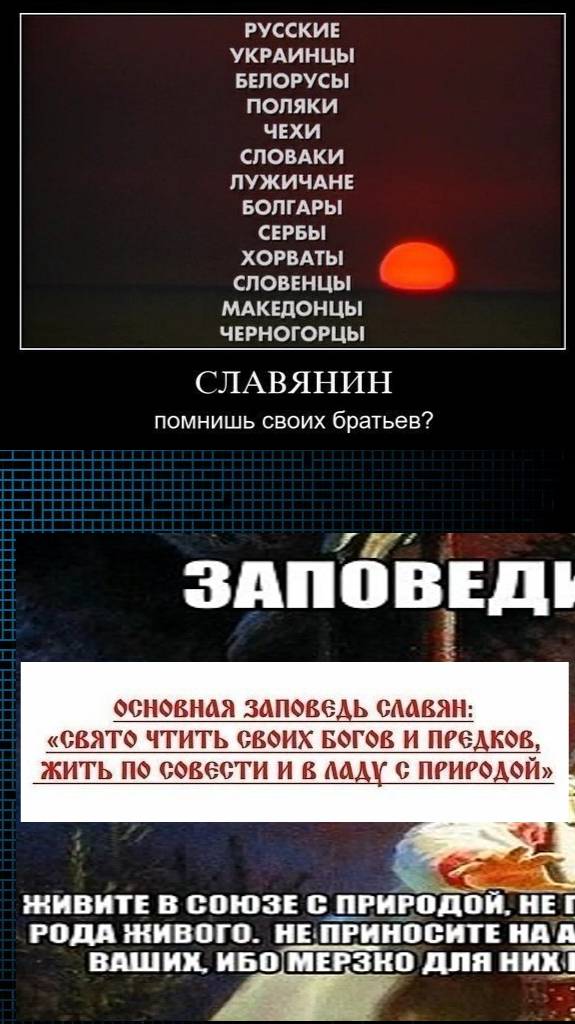 Русы. Мы одной крови братья и живем рядом)))))