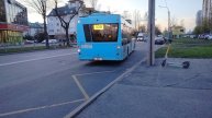 2 мая 2025 г. Два Автобуса 328 маршрут МАЗ-203 8569 и МАЗ-203 8537 Колпино Улица Анисимова Дом 4
