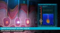 Lutronic Genius