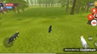 Прокачиваю волчонка в world craft!
