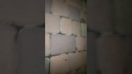Ужас. 2 серия.