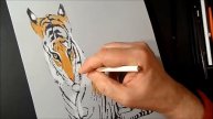 Это искусство,3D тигр ускоренное видео