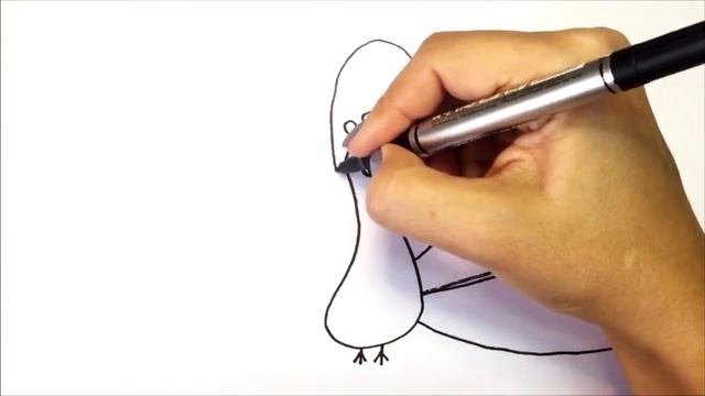 как нарисовать павлина / сурет салу тауыс /  how to draw a peacock