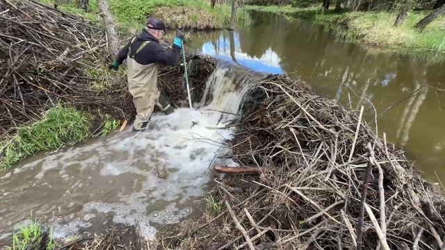 Строительство, расчищаем дренажные каналы