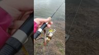 Весенняя рыбалка
