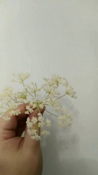 Готовлюсь к весеннем у марафону 😘 делаю укроп🙌 #flower #handmadeflowers #фоамиран #холодныйфарфор