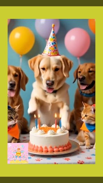 С Днем Рождения🎉🎂
