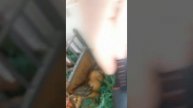Юлия.