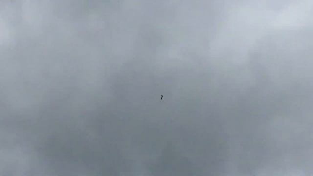 Rafale - замечательная копия
