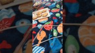 игра в кальмара