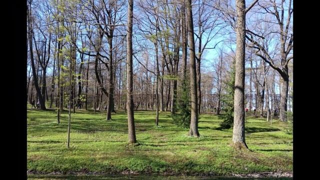 Петербургская весна в начале мая — сделано в Clipchamp