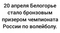 Волейбол Белогорье. Чемпионат России по волейболу.