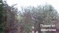 Сделать ракету из бутылки своими руками