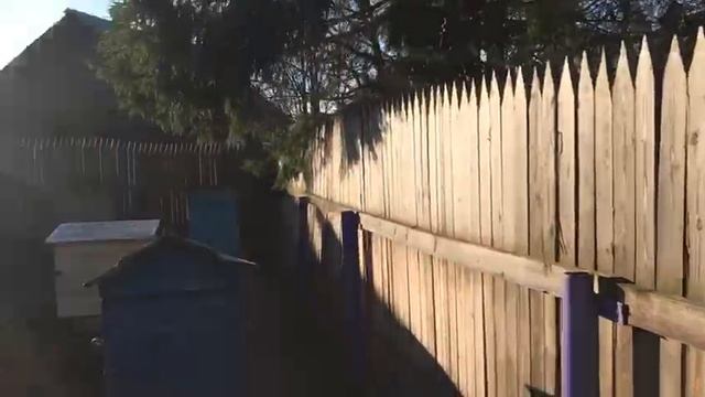 УТРО В ДЕРЕВНЕ