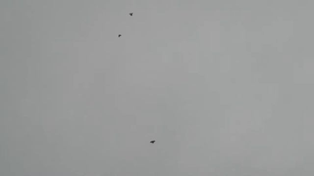 11.01.19.г.снежок