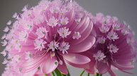 РОСКОШНОЕ ПОЗДРАВЛЕНИЕ ВНУЧКЕ С ДНЕМ РОЖДЕНИЯ! �💖 ОРИГИНАЛЬНОЕ И КРАСИВОЕ ПОЗДРАВЛЕНИЕ ОТ БАБУШКИ!
