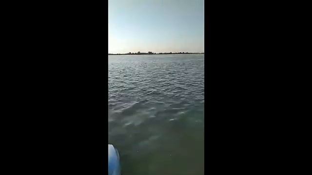 Шикарный вид и охота на окуня на базе "ВЕРХНЕЛЕБЯЖЬЕ FISH RESORT" в Астрахани