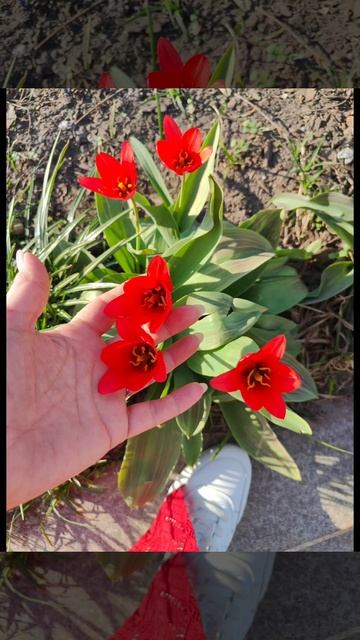РАСКРЫТ СЕКРЕТ КАЙФА ❣️