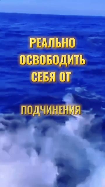 1000065828.mp4
