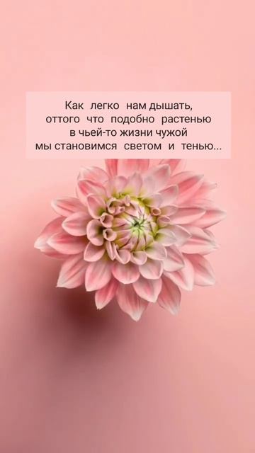 🔗 Те, кого мы истинно любим, остаются с нами навсегда... #любовь #силасознания #эраводолея