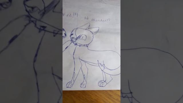 Мои рисунки котов