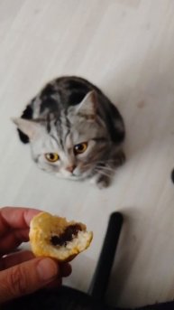 Яшкины круассаны