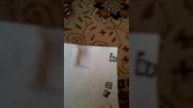 Как я провожу свой день