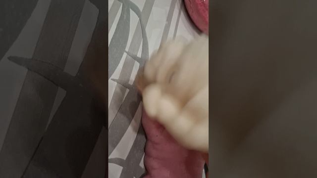 1 часть .Весёлая семейка сквиш собак.
