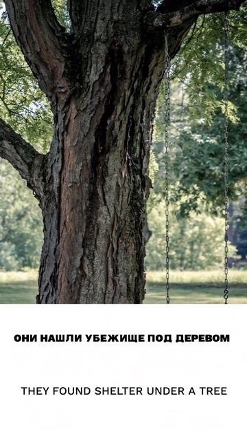 Убежище