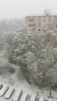 ❄️В Москве пошел снег❄️