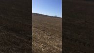 Подсадные чучела FGS Zombie в поле.