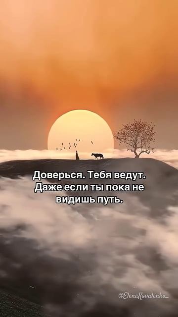 Даже когда не видно дороги, Путь уже разложен внутри тебя Каждое событие Каждая встреча Каждая пауза