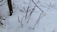 Увлекательные игры на снегу для детей