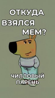 Чилловый парень, которому плевать на всё #мемы #мем #memes #шортс #смешнойшортс #юмор #мемас